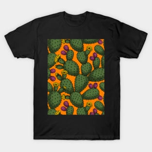 Desert sunset T-Shirt